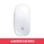 APPLE-MOUSE