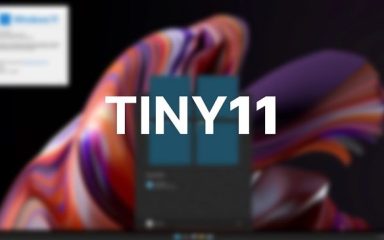 Tiny11