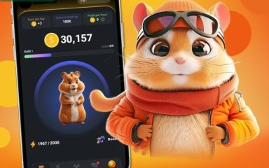 همستر کامبت