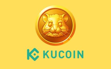 قیمت همستر کامبت