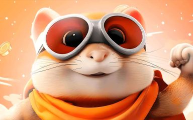 همستر کامبت چیست؟ آشنایی با ایردراپ و بازی جدید تلگرام - تکفارس 