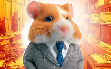 پیش فروش همستر کامبت