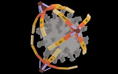 بازوی میکروسکوپی از DNA