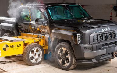 ایمنی کیا تسمن