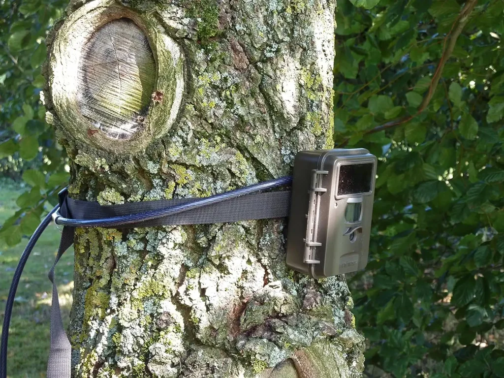 نکات مهم در انتخاب دوربین تلهای: از سنسور حرکت تا مقاومت در برابر شرایط جوی tele camera